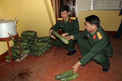 “Bạn đảo”