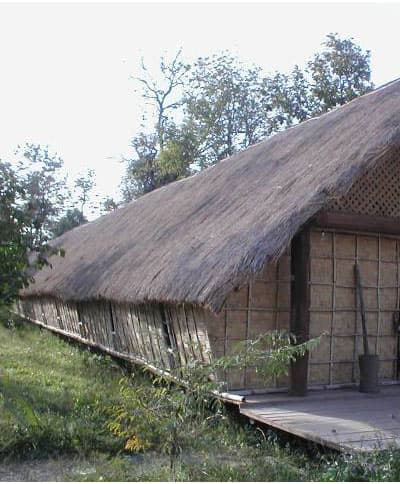 Bài toán bảo tồn nhà dài Tây Nguyên