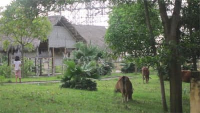 Lãng phí một di tích lịch sử