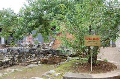 Cần sự hợp tác của các nhà sử học và các nhà giáo dục