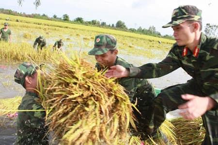 Dốc toàn lực giúp dân chống lũ