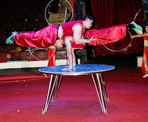 “Phù thủy đại chiến bảy chú lùn” ra mắt khán giả dịp Trung thu