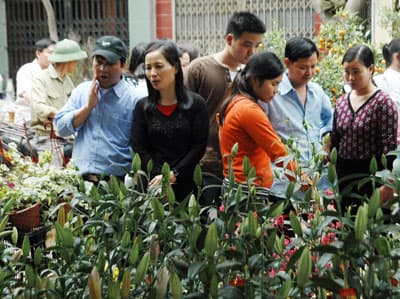 Tổ chức 43 chợ hoa, chợ nông sản thực phẩm phục vụ Tết