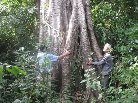Bảo vệ rừng Chư H’Lăm bằng... truyền thuyết