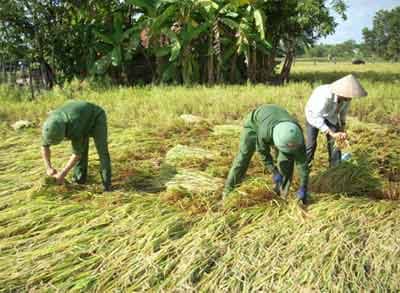 Ea Súp-nặng tình quân dân trong lũ dữ