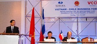 Cùng ra biển lớn