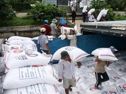 Nên có quỹ hỗ trợ sản xuất lúa gạo