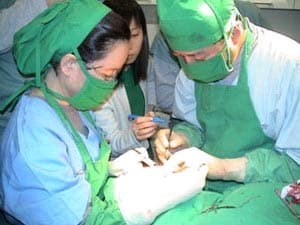Hải Phòng: 710 người đăng ký hiến tặng giác mạc
