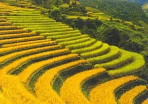 Chiến dịch quảng bá hình ảnh Việt Nam ra nước ngoài