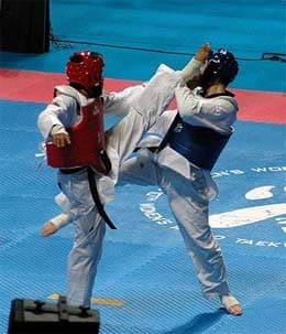 Giải Taekwondo tranh cúp SUNNY KOREA – 2009