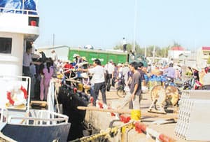 Đường ra Phú Quý còn nhiều gian nan