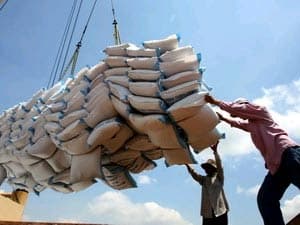 Giá gạo sẽ không tăng đột biến, gạo đủ cung cấp