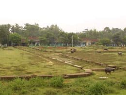Hạt gạo của mẹ