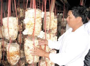 Phương châm “đồng tiền quay ngược” tại Ninh Bình