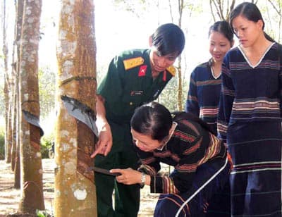 Người dân Mo Ray đã thoát nghèo