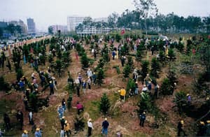 “Ngân hàng xanh” ở Trung Quốc