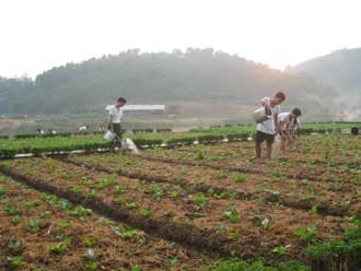 Điểm sáng "thực túc binh cường"