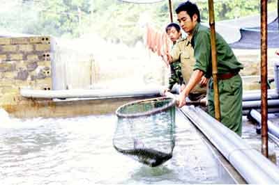 Bộ đội biên phòng Lai Châu nuôi cá xứ lạnh