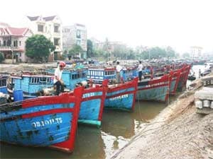 Chủ động ứng phó với bão số 9