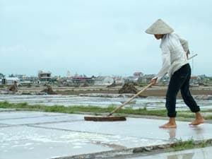 Đắng, chát nghề làm muối