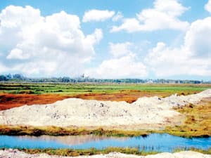 Cần triển khai nhanh, quản lí chặt chẽ