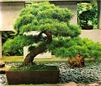 Tuyên dương các làng nghề Việt Nam 2009