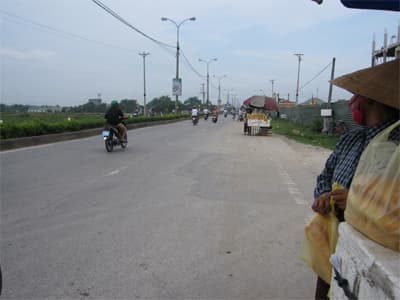 Nhờn luật