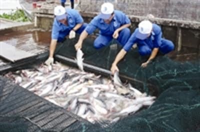 WWF hãy giữ tính khách quan, trung thực và minh bạch