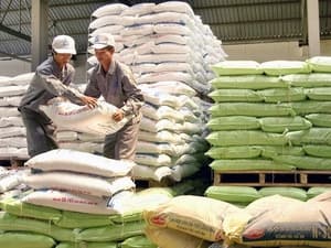 Khuyến khích sản xuất thức ăn chăn nuôi nội địa
