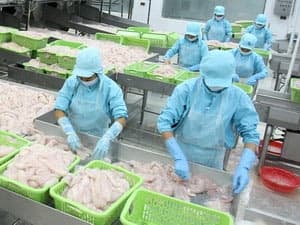 Xuất khẩu nông lâm thủy sản tăng gần 25%