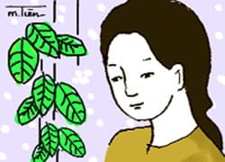 Tháng Hai