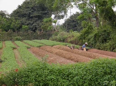 Sẽ khó hoàn thành đúng tiến độ