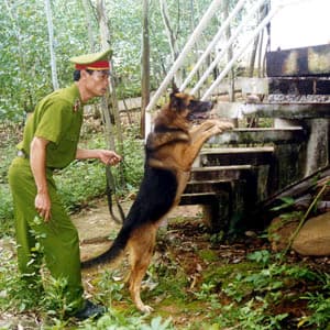 Chiến công của những trợ thủ đắc lực