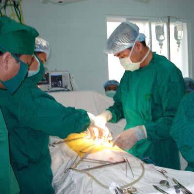 Hai ca ghép thận đầu tiên với nguồn thận từ người chết não