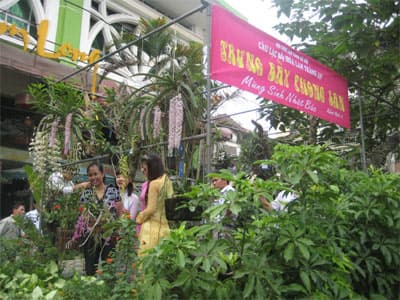 Trưng bày nhiều loại hoa quý