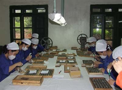Hành trình làm chủ những “đêm hội đuốc hoa”