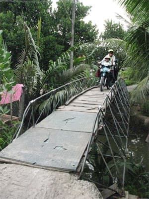 Hứa cầu đúc, làm cầu... cây