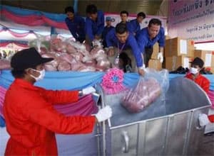 Thái Lan tiêu hủy lượng ma túy trị giá gần 190 triệu USD