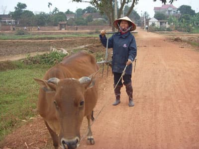 Cùng nông dân phát triển kinh tế