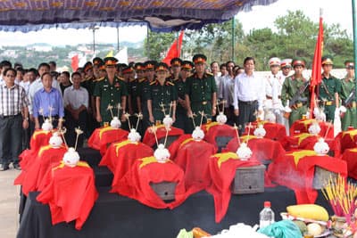 Ngày đón các anh từ rừng sâu trở về