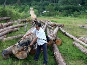 Phóng viên báo Tiền Phong bị đe dọa tính mạng