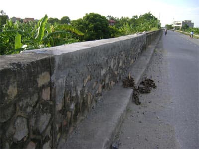 Đê tả sông Đáy đã được khắc phục