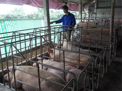 Đi lên từ vùng “đất khó”