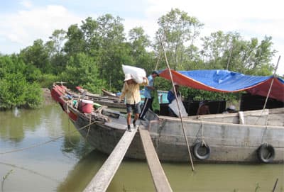 Chậm triển khai vì… thiếu kho chứa
