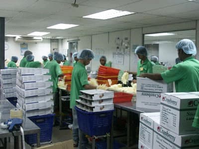 Chế độ bồi thường tai nạn lao động cho người lao động nước ngoài làm việc tại Ma-lai-xi-a