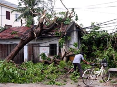 Bão số 3 gây thiệt hại lớn, 31 người thương vong