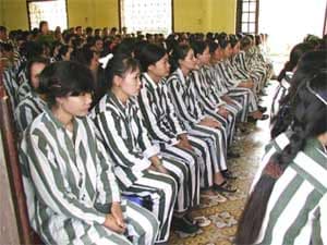 233 phạm nhân được đặc xá