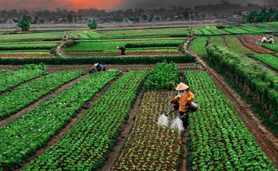 Phát huy vai trò làm chủ của nông dân trong xây dựng nông thôn mới