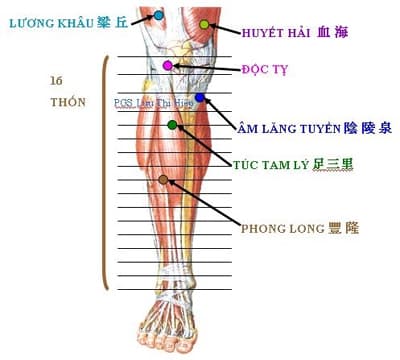 Xoa bóp hỗ trợ điều trị thoái hóa khớp gối