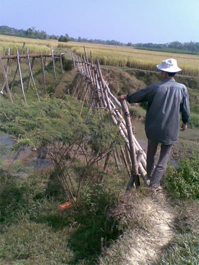 Bao giờ Tân Thịnh mới được công nhận là thôn?